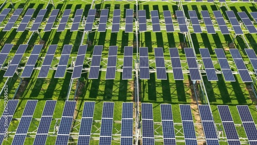 Green grass field with neatly arranged solar photovoltaic panels for renewable energy generation