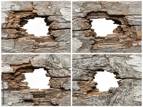 A quad-panel collage showcasing severely weathered, aged wood with intricate holes and rough textures against a stark white background. Ideal for rustic themes, decay, or unique frame elements.