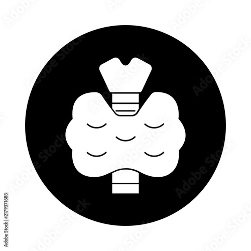 Thyroid Gland Icon, Thyroid Gland Anatomy and Endocrine System Medical Illustration, Human Thyroid Gland for Hormone Regulation, Metabolism and Healthcare Concepts, vector