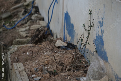 Foto desolate, concrete garden planter filled with dry cracked dirt and a few struggling bare stems against a peeling white and blue painted wall