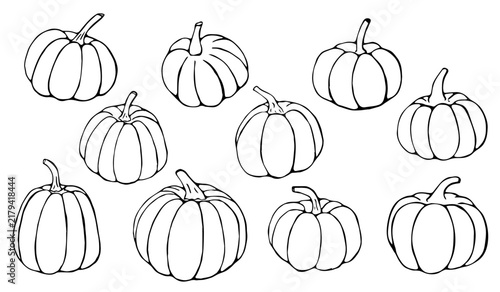 Hand Drawn Autumn Pumpkin Collection Set Different Shapes Line Art Doodle Illustration for Harvest Design