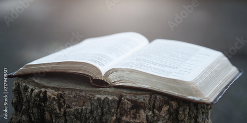 Fotografía An open Bible rests on a natural tree stump, a concept related to Christianity