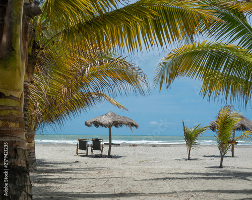 spiaggia deserta con sdraio e palme