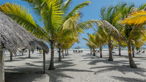 spiaggia deserta con sdraio e palme
