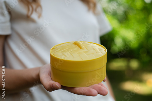 Child holding a steamer box with a cute dumpling squishy toy