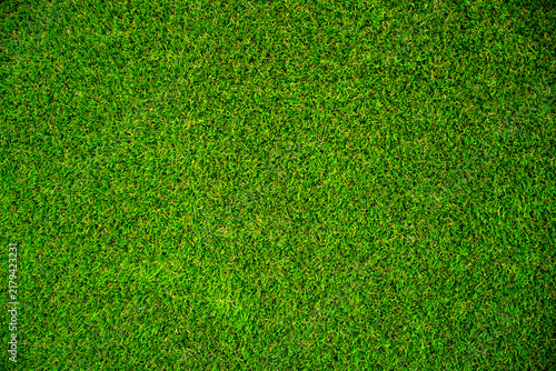 Lush green grass covering a vibrant outdoor space inviting play and relaxation