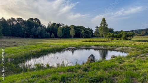 Calm Pond Surrounded by Dense Greenery and Trees