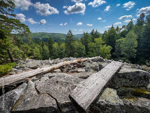 Rocky Summit Overlooking a Dense Green Forest