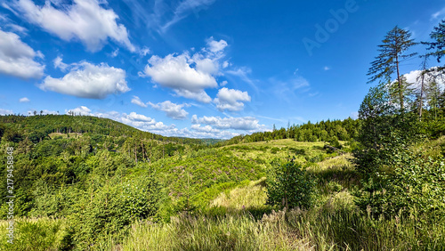 Sunny Sky Over Rolling Green Hills