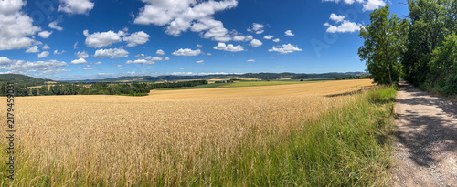 Golden Wheat Fields with Cloudy Blue Sky