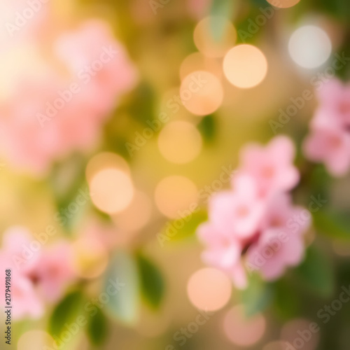 Soft Pink Flower Bokeh Background with Green Leaves