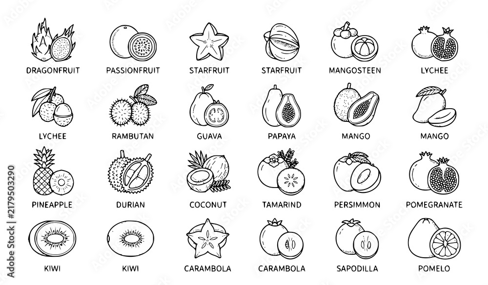 Fototapeta premium Tropical Exotic Fruit Botanical Line Icons, Organic Food Vector Collection