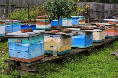 A beekeeping farm that produces honey and related products from bees.