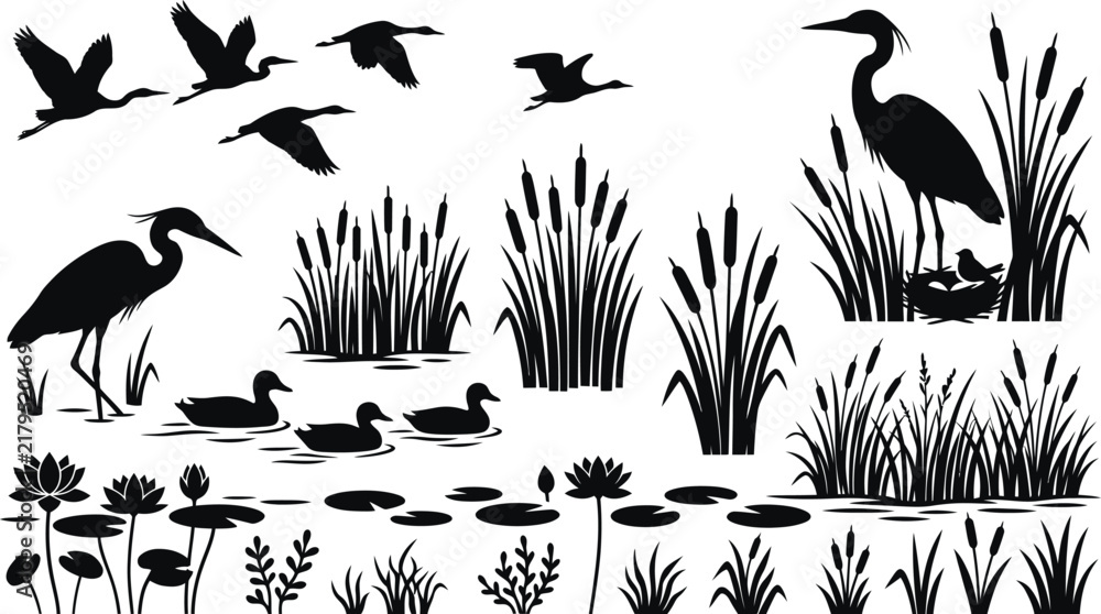Fototapeta premium Black Wetland Landscape with Flying Birds Herons Reeds and Water