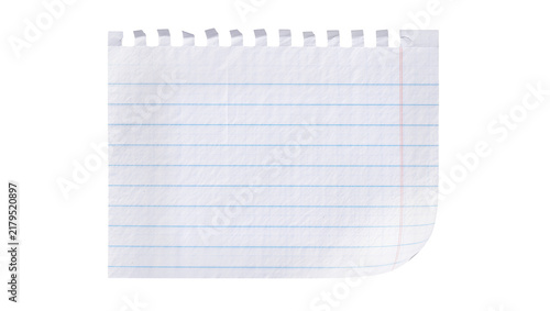 Torn lined paper page with perforated edge, isolated on transparent background
