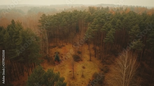 Aerial View of Misty Autumn Forest Landscape in Poland