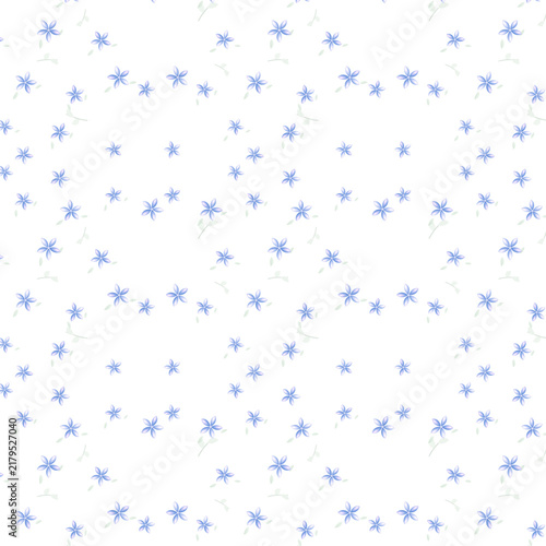 Charming soft periwinkle woodland phlox flower botanical seamless repeat pattern
