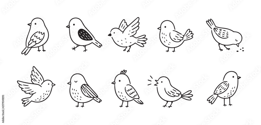 Obraz premium Hand drawn doodle bird icons set with simple outline strokes, playful poses, feeding gestures, and clean rounded forms for cheerful creative layouts, with bird, doodle, outline, icon detail