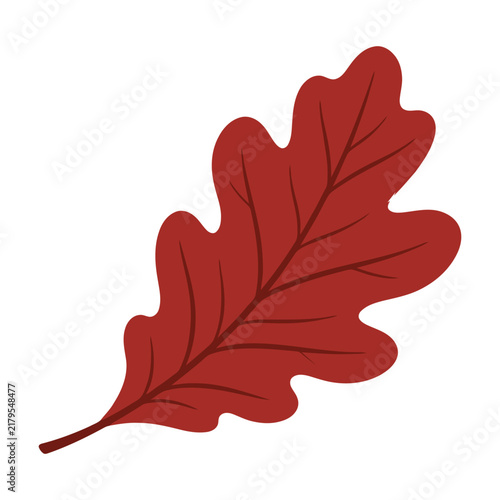 Red oak leaf icon isolated on white background flat design