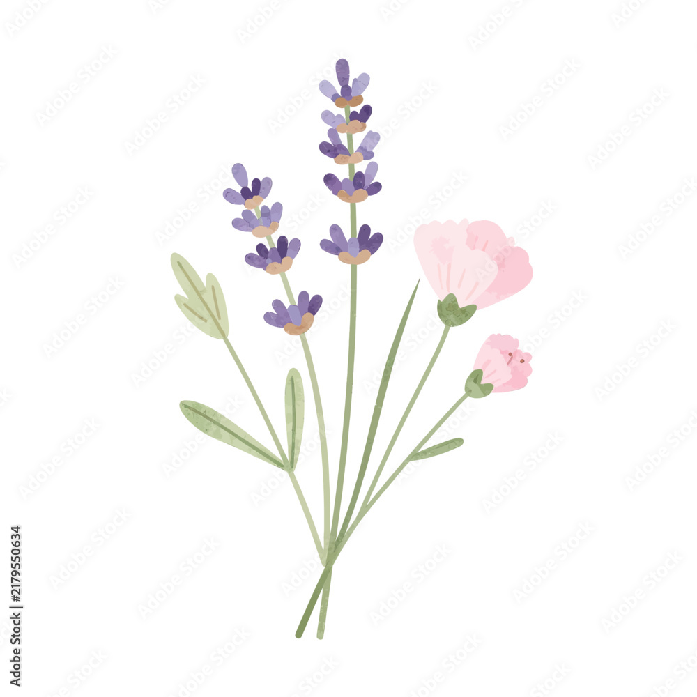 Obraz premium Watercolor Illustration of Purple Lavender and Pink Carnation Flowers Bouquet Isolated on White Background for Botanical Design, Wedding Stationery, and Spring Floral Greeting Cards