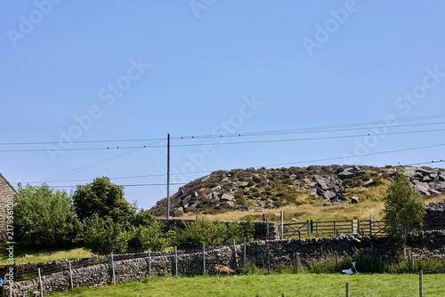 A sunny July day and swallows begin to gather on telephone lines in Nidderdale, North Yorkshire