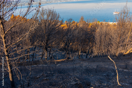 Burnt forest hillside overlooking calm Croatian coastline and sailboat in autumn