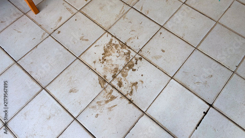 Foto Dirty white ceramic floor tiles with messy muddy footprints and brown soil stains