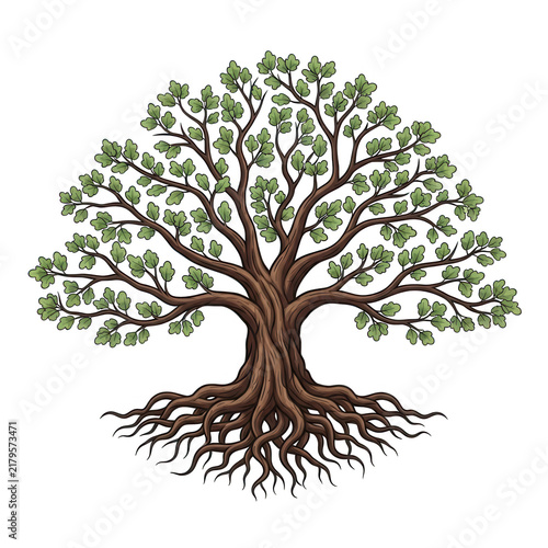 Big green oak tree with visible roots illustration