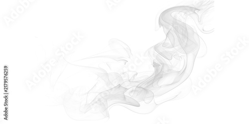 Bild auf Leinwand Abstract swirling grey smoke plume isolated on transparent background