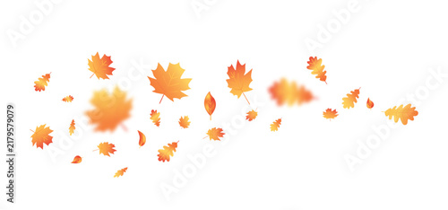 Autumn leaves flying wave background. October foliage frame. Thanksgiving day card. Fall sale. Maple leaf. Oak decor September poster. Orange plant. Harvest party invitation. Vector illustration