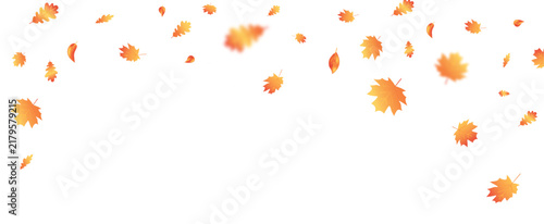 Autumn leaves flying wave background. Maple leaf. October foliage frame. Thanksgiving day card. Fall sale. Oak decor September poster. Orange plant. Harvest party invitation. Vector illustration