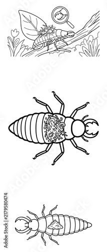 Stag Beetle Larva Coloring Page Top View Fantasy Bug Insect on Branch with Magnifying Glass Nature Illustration