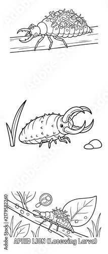 Aphid Lion Lacewing Larva Coloring Page Cute Bug Insect on Branch with Magnifying Glass Nature Illustration for Kids