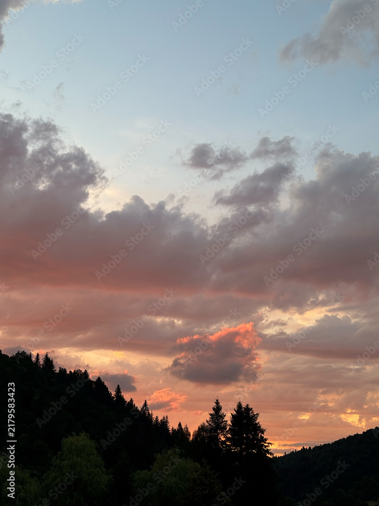 Obraz premium Dramatic pink sunset sky over dark mountain pine forest for travel escape and scenic nature background concept 