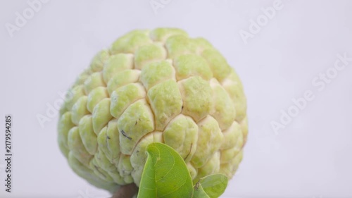 Fresh whole custard apple (sugar apple / sweetsop) slowly rotating in a seamless loop. Close-up shot highlighting the unique green textured skin and natural pattern	