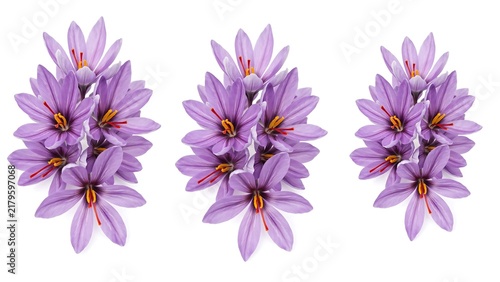 Three vertical clusters of purple star flowers isolated on white background