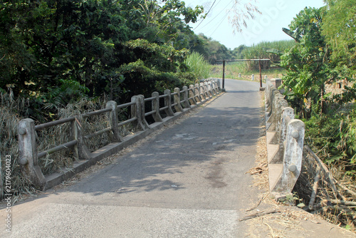 Rural Concrete Bridge Over Narrow Road Surrounded by Lush Greenery and Tropical Vegetation
