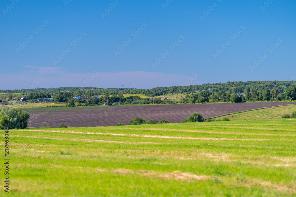 Fototapeta premium Vast green fields stretch under a bright blue sky in a serene rural landscape at midday