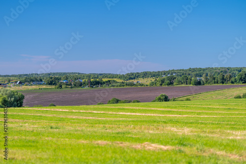 Fotografía Vast green fields stretch under a bright blue sky in a serene rural landscape at