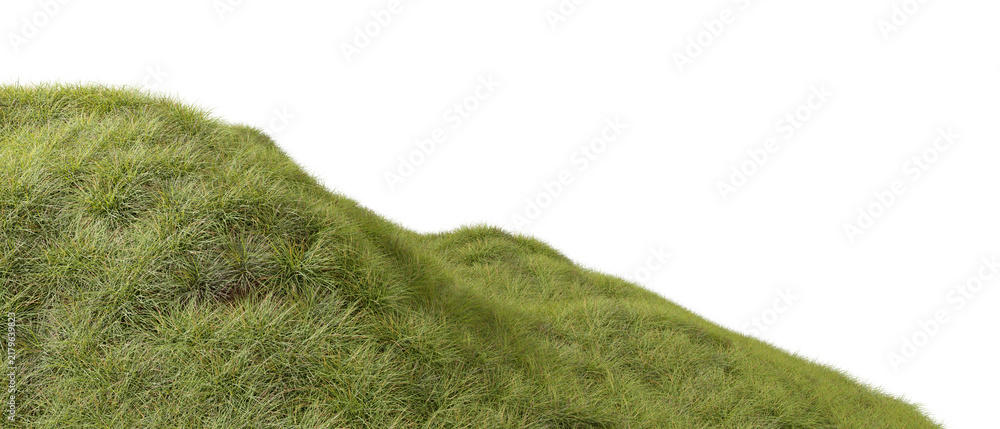 Obraz premium Grass dense terrain environmental cutout transparent backgrounds 3d rendering png