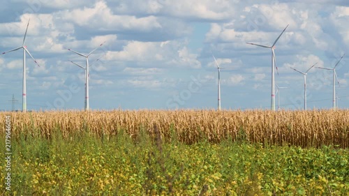 wind turbines in countryside with cornfield in foreground 4K