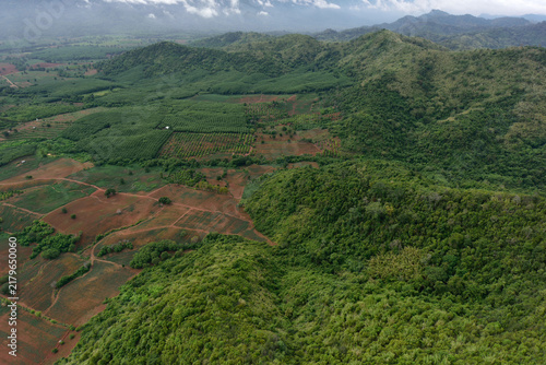 Foto Aerial view of green rolling hills and deforested agricultural land plots
