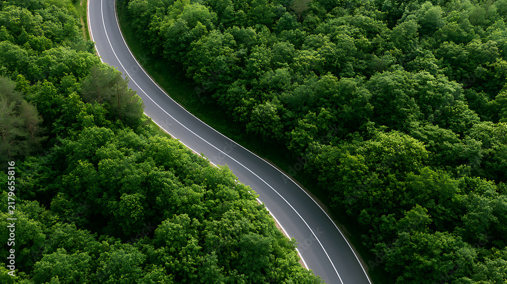 Fototapeta premium Aerial view of a curvy empty asphalt road winding through a dense green summer forest landscape with lush trees under bright daylight top down