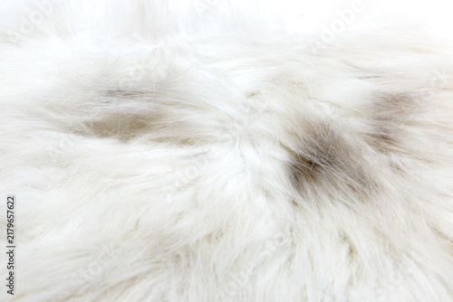 Foto White natural fur texture abstract for background