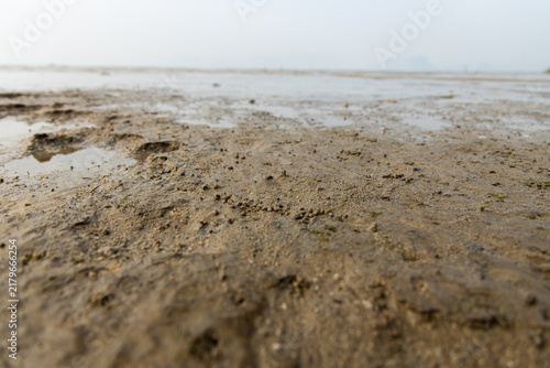 Obraz na plátne Low-angle view of muddy ground at low tide in a coastal area