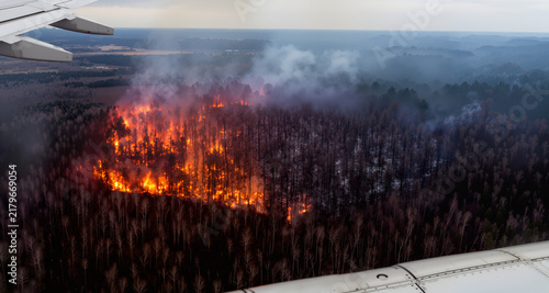 Горящий лес, вид с самолета
