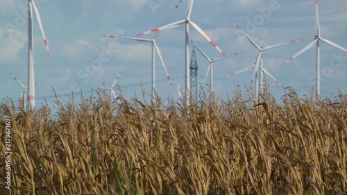 wind turbines in countryside with cornfield in foreground 4K