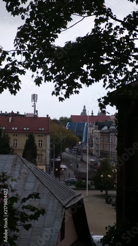 City rooftops framed by tree branches