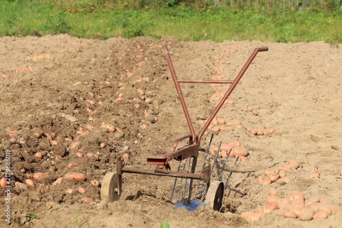 Foto A manual potato digger stands in a field next to dug potatoes on a sunny day