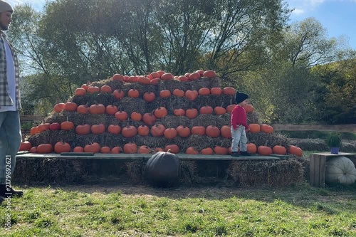 Large pumpkin display on hay bales